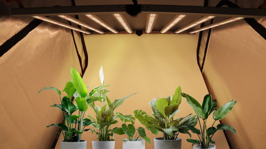 LED 320W Grow Light NSFO-GL320-D Indoor （Folding）Full spectrum