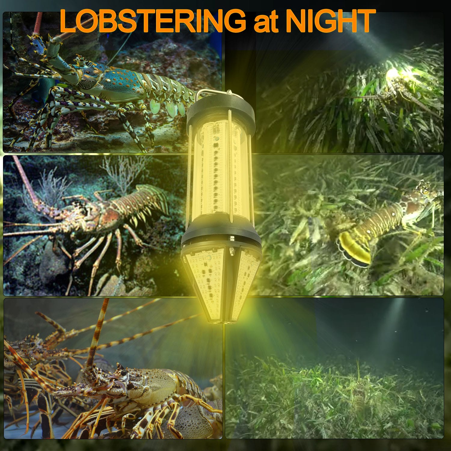 green underwater fishing lights 800W  LED best 72000LM fishing boat - CA  New Sunshine